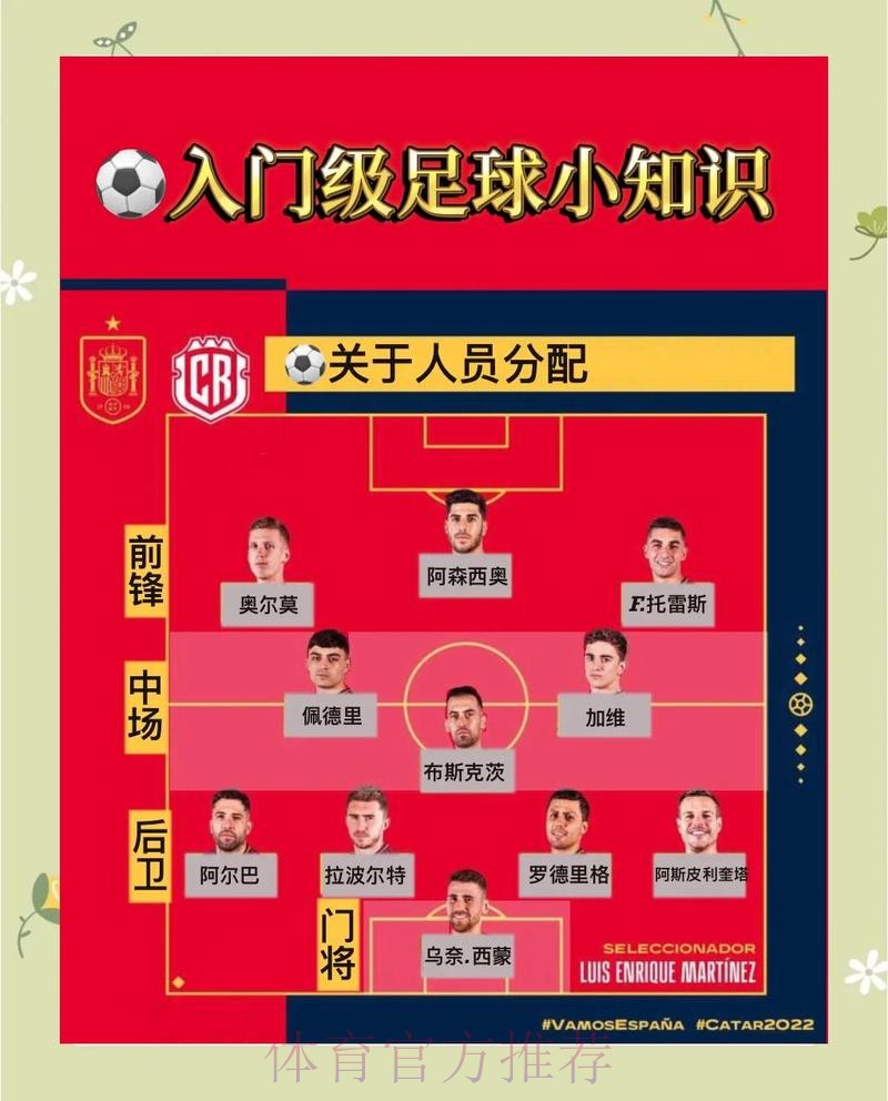 官方世界杯下注教程指南